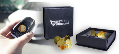 keyless protector